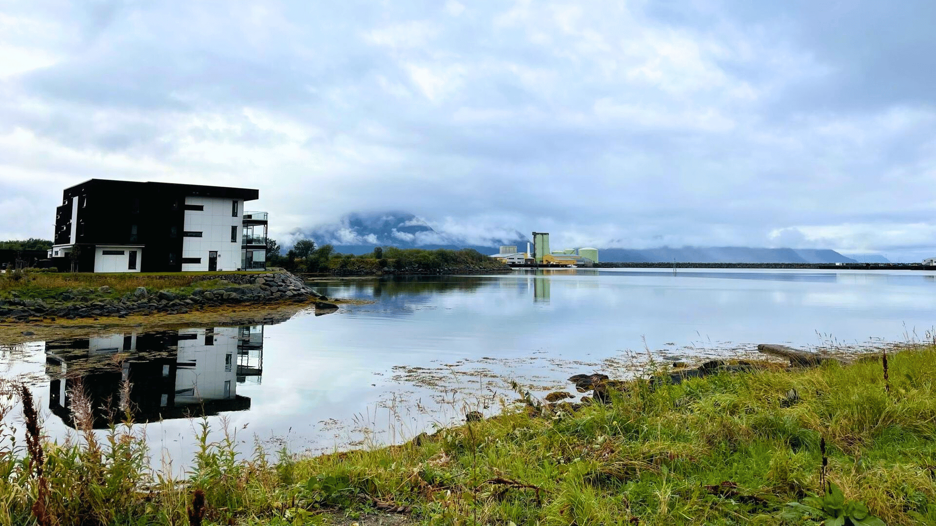 avilo blog 2 (1).png